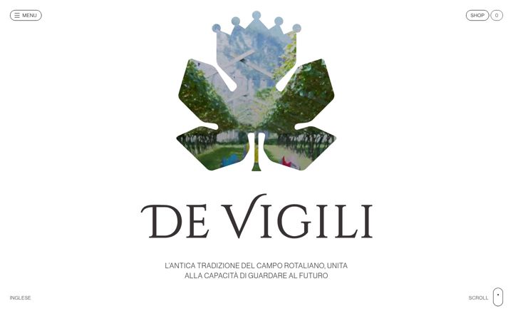 Screenshot of devigili.wine