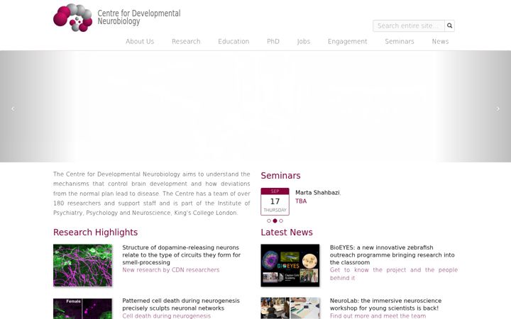 Screenshot of devneuro.org