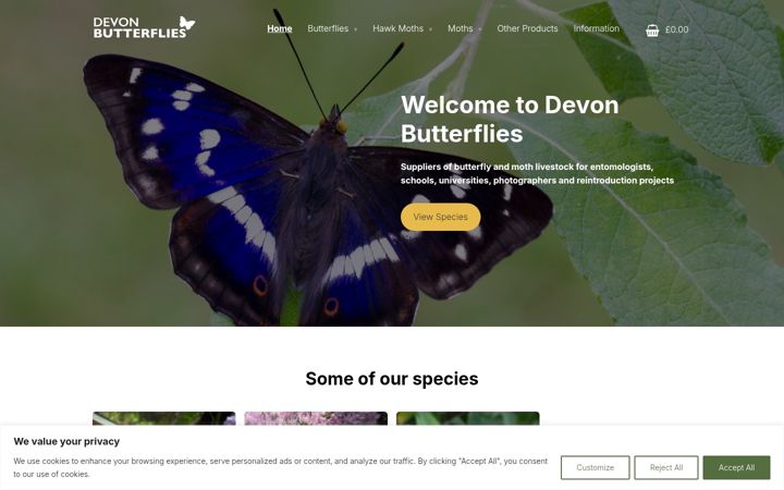 Screenshot of devonbutterflies.co.uk