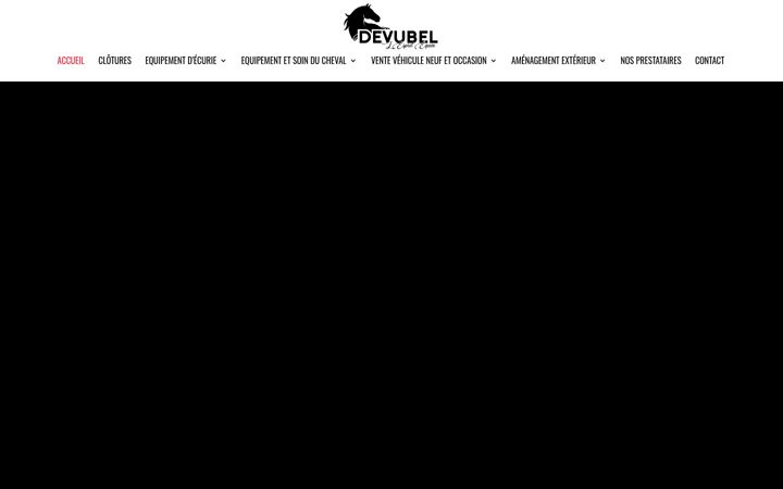 Screenshot of devubel.fr