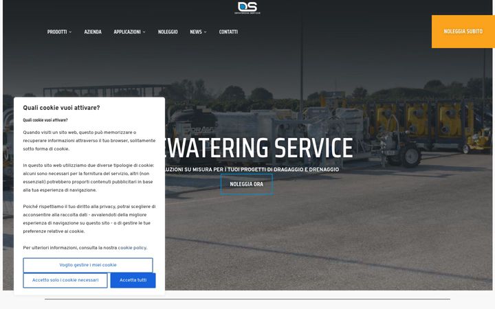 Screenshot of dewateringservice.it