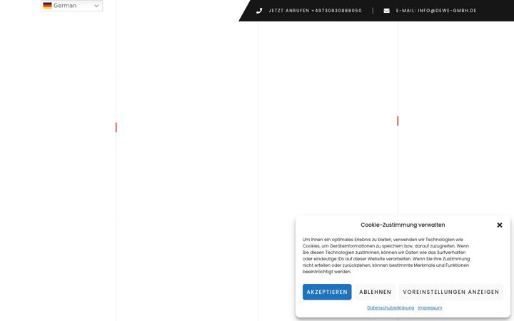 Snímek obrazovky dewe-gmbh.de