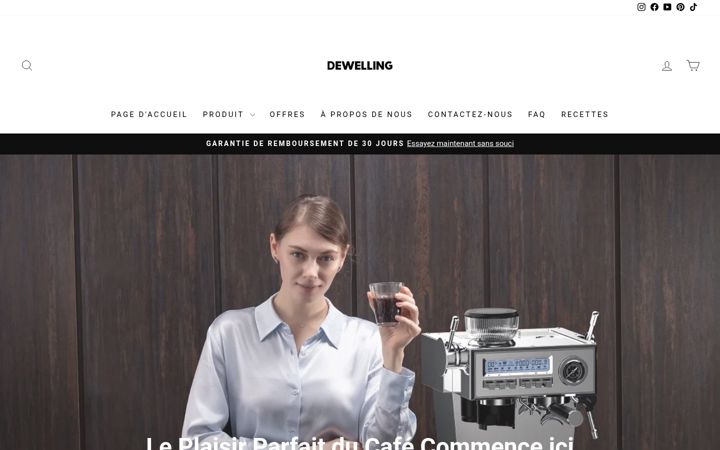 Screenshot of dewelling.fr