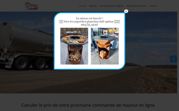 Screenshot of dewildecombustibles.be