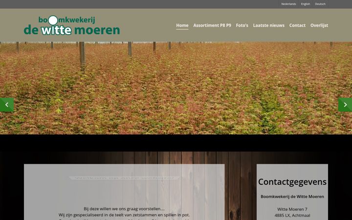 Screenshot of dewittemoeren.nl