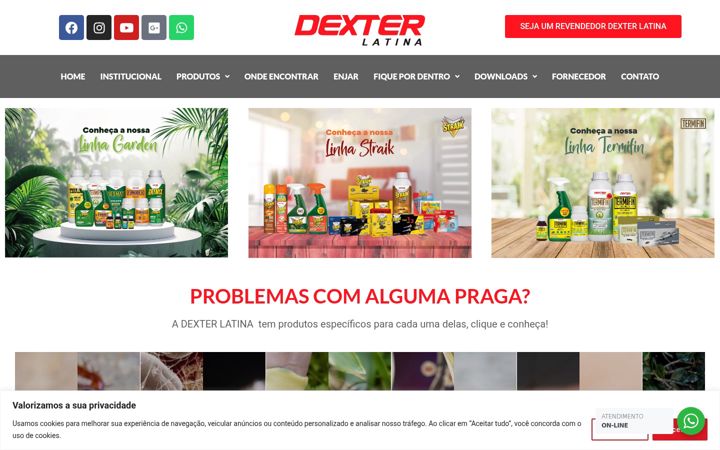 Skærmbillede af dexterlatina.com.br