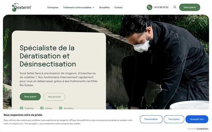 Screenshot of dexterm.ch