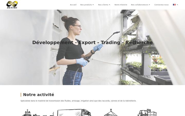 Screenshot of dextre.com