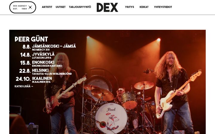 Screenshot di dexviihde.fi