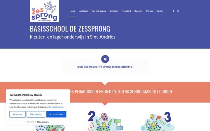 Screenshot of dezessprong.be