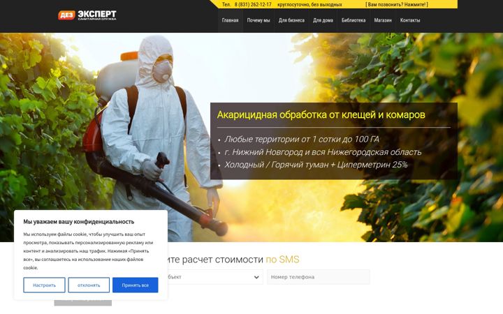 Screenshot von dezexp.ru