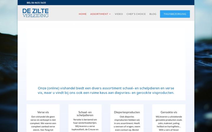 Képernyőkép: dezilteverleiding.nl