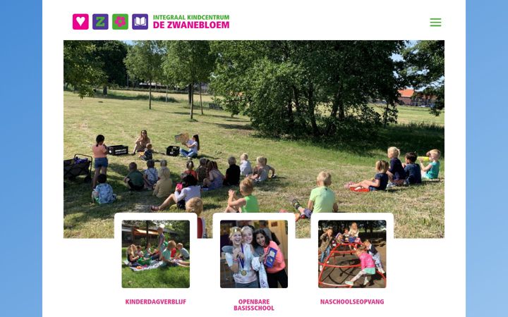 Screenshot of dezwanebloem.nl