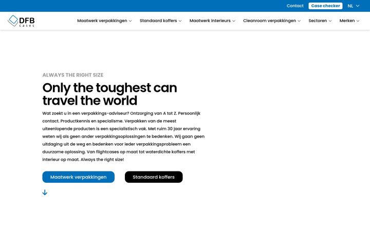 Screenshot of dfb-cases.nl