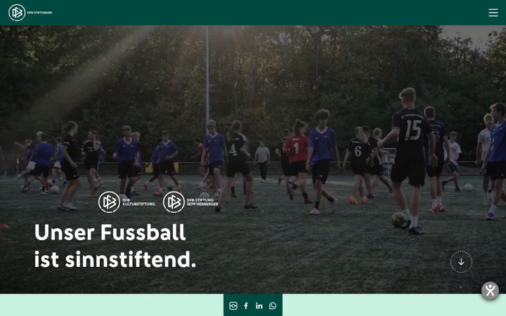 Screenshot of dfb-stiftungen.de
