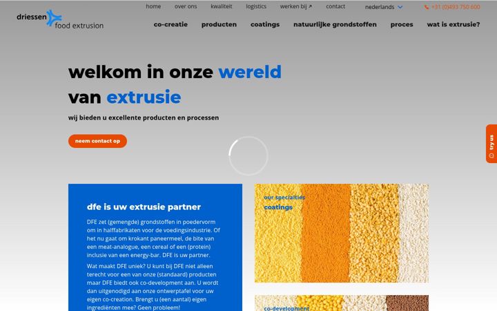 Screenshot of dfe.nl