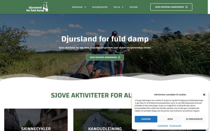 Screenshot of dffd.dk