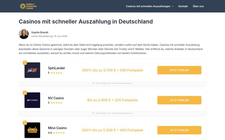 Screenshot of dfg-schulpost.de