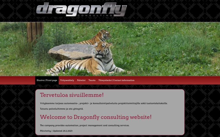 Screenshot di dfly.fi