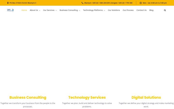 Screenshot of dfsconsultinggroup.com