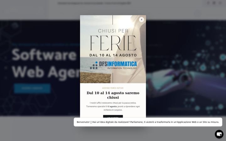 Screenshot of dfsinformatica.it