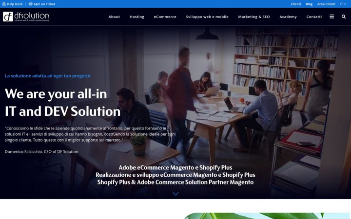 Screenshot of dfsolution.it