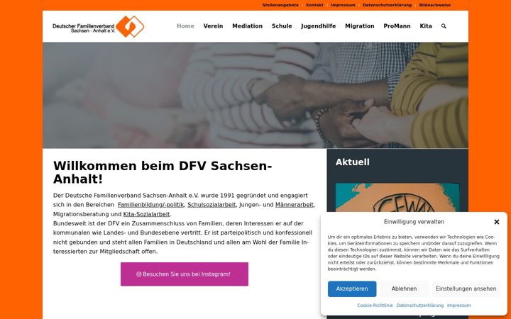 Screenshot of dfv-lsa.de