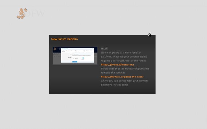 Screenshot of dfwmas.org