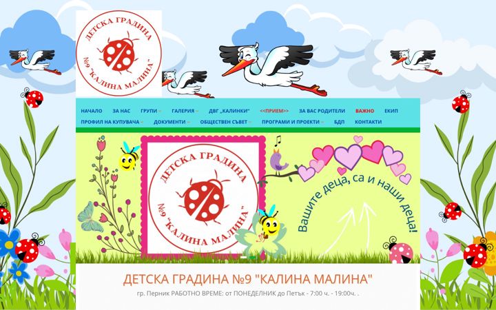 Screenshot of dg9kalinamalina.com