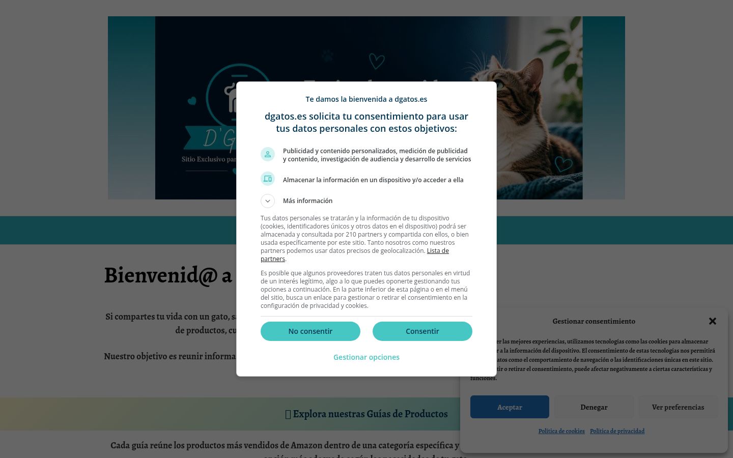 Sutikimo reklamjuostės, rodytos prieš bet kokią sąveiką, ekrano kopija