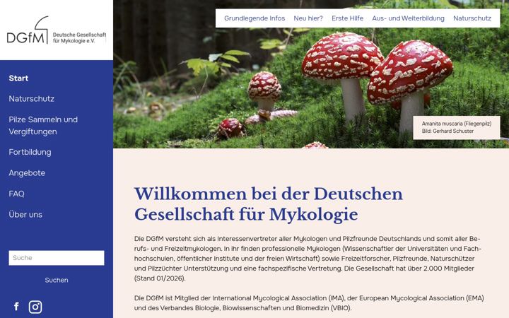 Ekrano kopija dgfm-ev.de