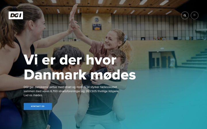 Zrzut ekranu dgi.dk