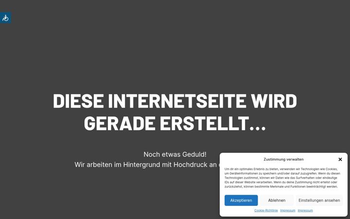Screenshot of dgs-handbuch.de