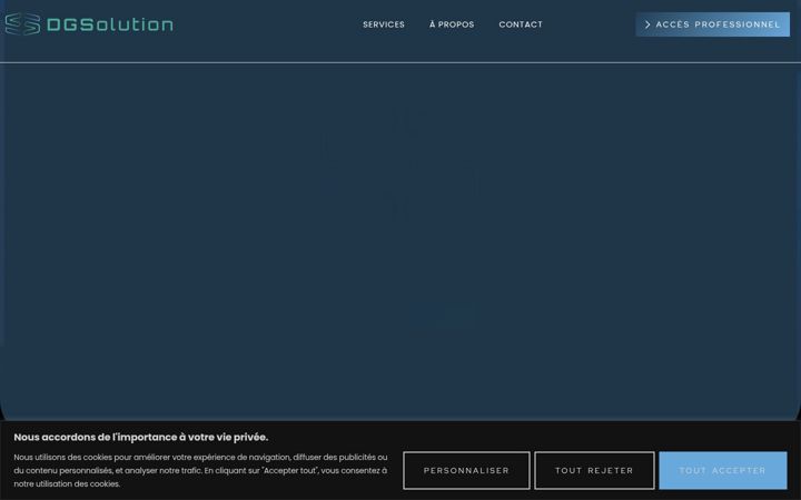 Screenshot van dgsolution.fr