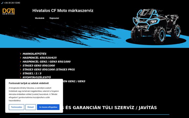 Screenshot of dgtservice.hu