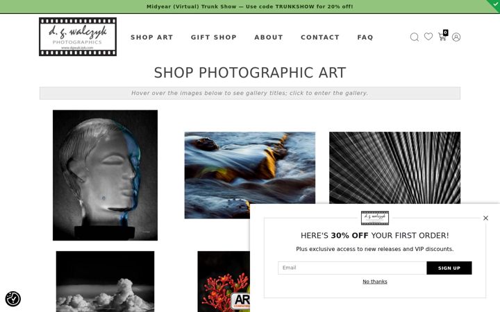 Screenshot of dgwalczyk.com