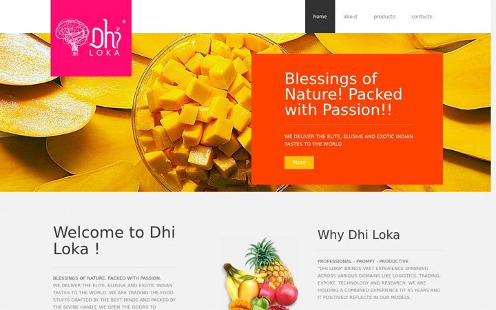 Screenshot of dhiloka.com