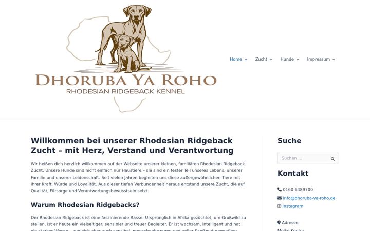 Screenshot of dhoruba-ya-roho.de