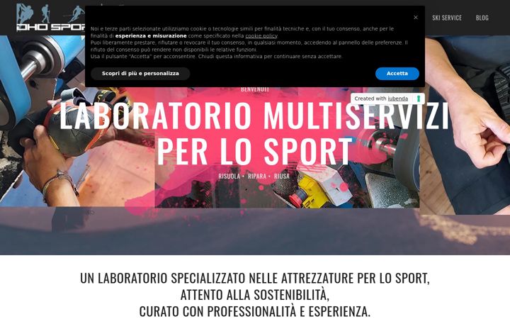 Screenshot of dhosport.com