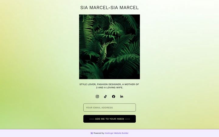 Screenshot of dhruvelectronic.com