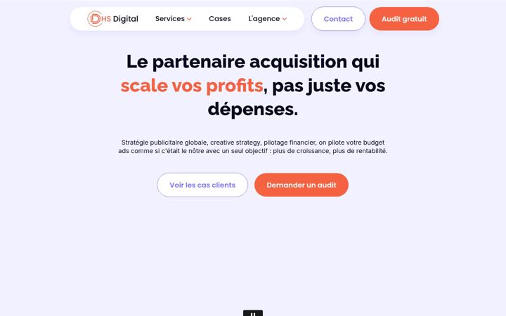 Screenshot of dhsdigital.eu