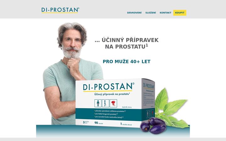 Skärmbild av di-prostan.cz