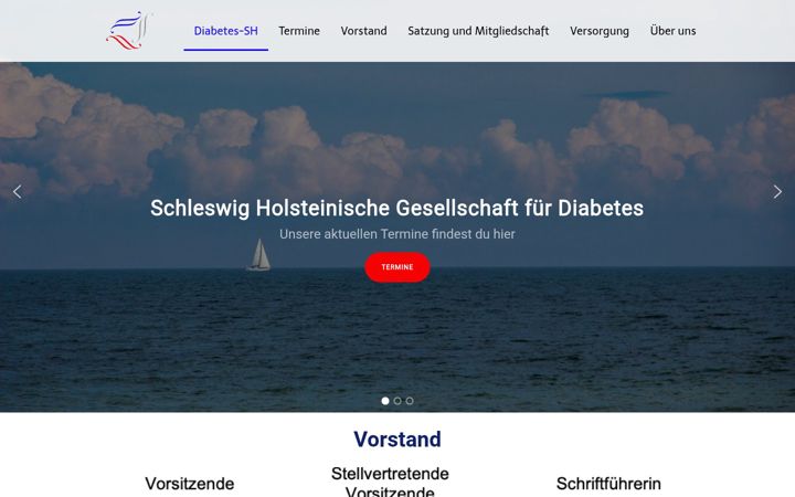 Screenshot of diabetes-sh.de
