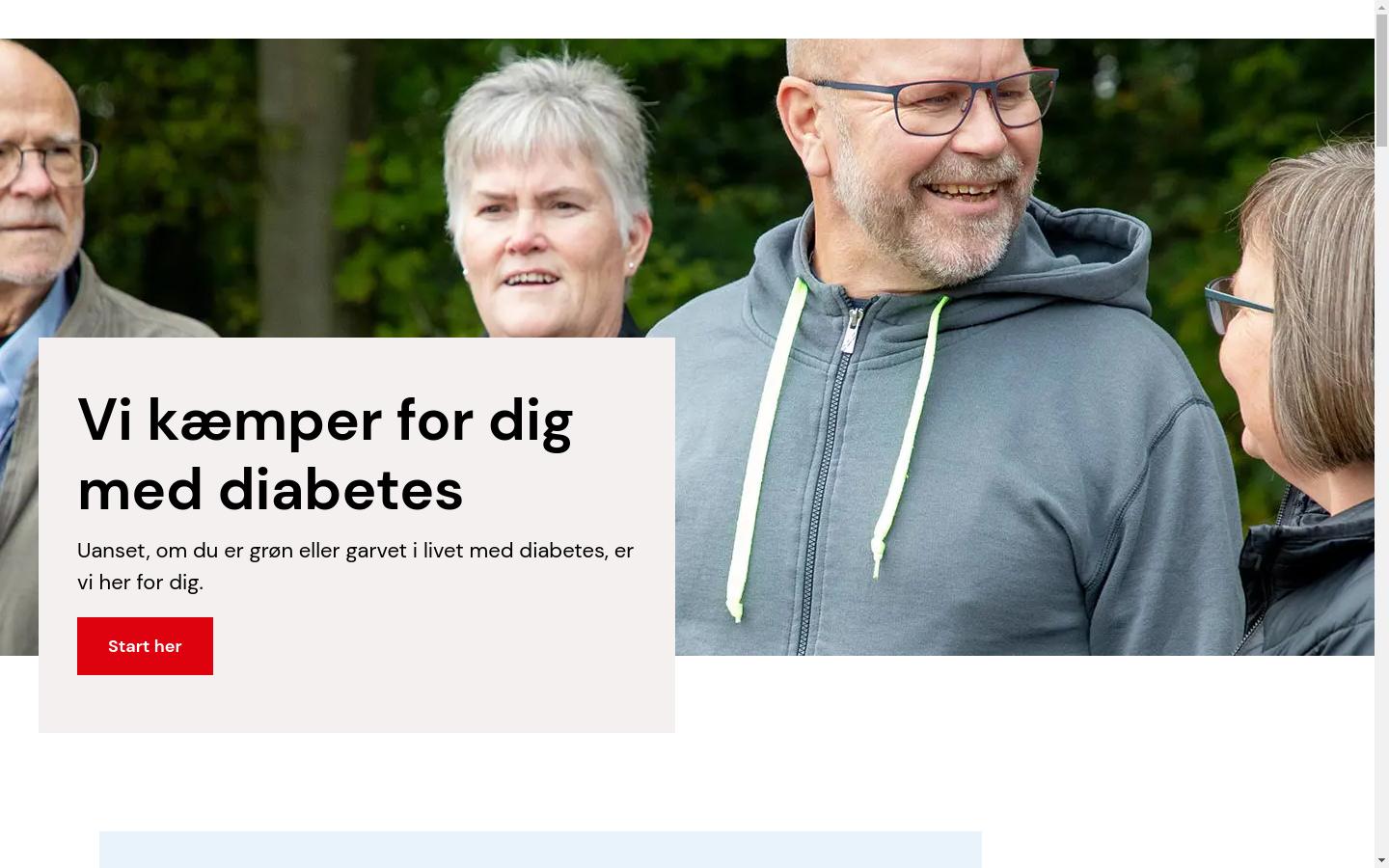 Screenshot of diabetes.dk