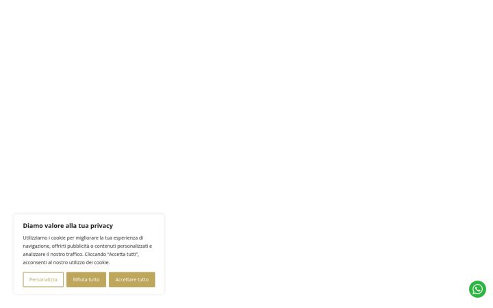 Screenshot of diafani.it