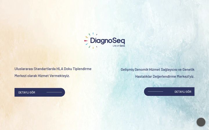 Képernyőkép: diagnoseq.com.tr