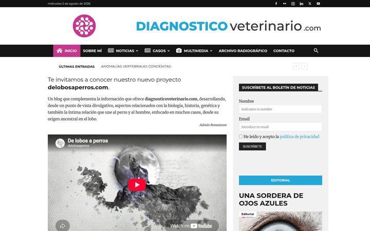 Screenshot of diagnosticoveterinario.com