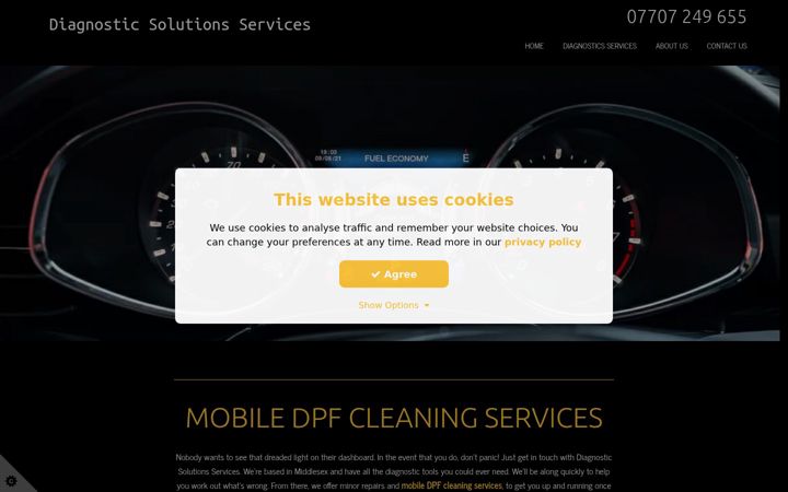 Screenshot of diagnosticsolutionsservices.co.uk