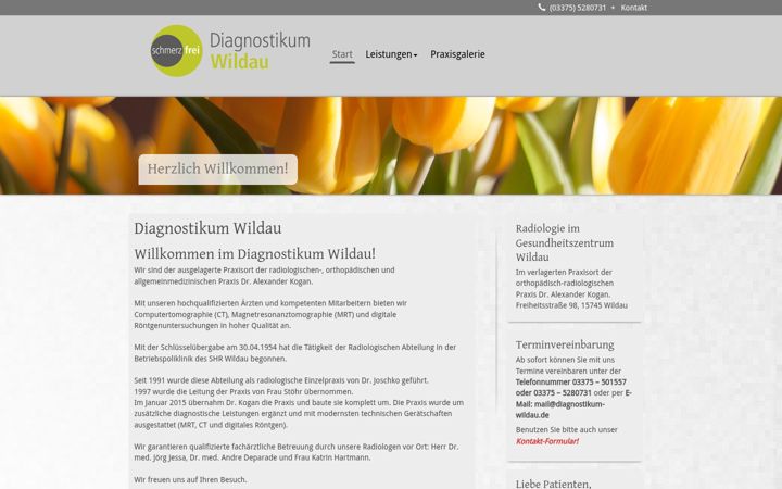 Screenshot of diagnostikum-wildau.de