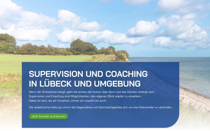 Snímek obrazovky dialektische-supervision.de